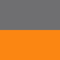 Siva-narančasta