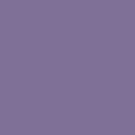 Milenial lilac